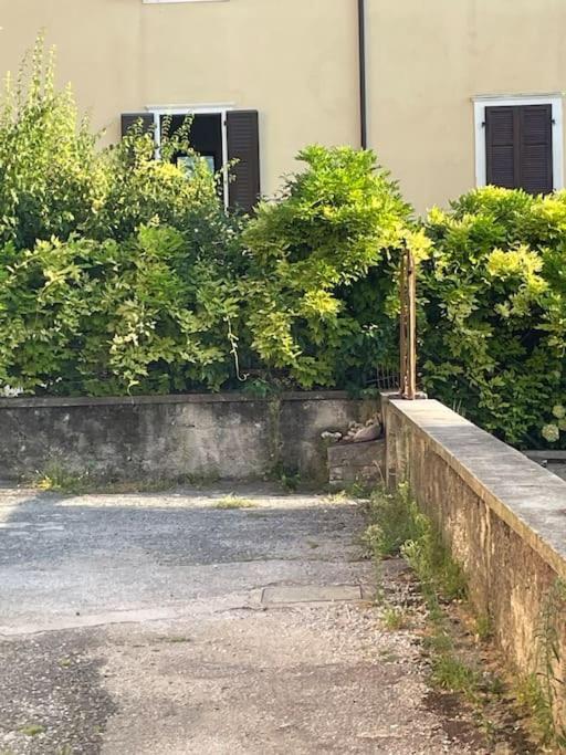 The Lime Tree Cozy Flat Daire Riva del Garda Dış mekan fotoğraf